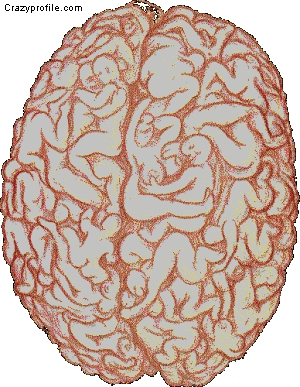 www.postaimre.net/kepek/agy.gif