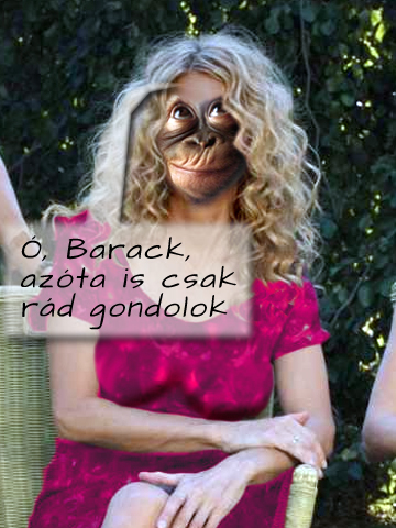 www.postaimre.net/kepek/o-barack.jpg